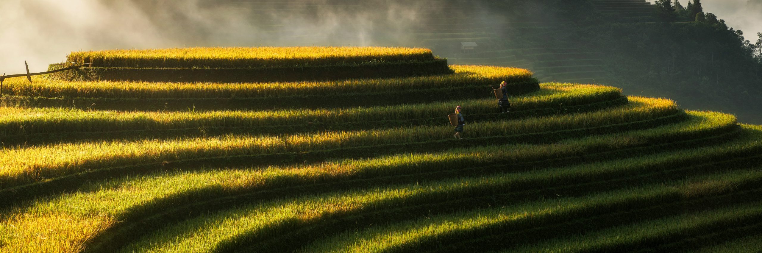 Paysage du Vietnam en photographie pour les illustrations crées sur mesure pour une carte touristique du pays